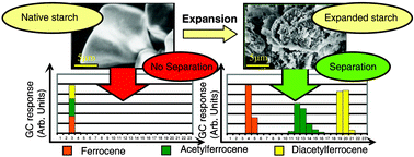 Graphical abstract: Delicious not siliceous: expanded carbohydrates as renewable separation media for column chromatography