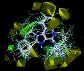 Graphical abstract: New pyrazolo[3,4-b]pyridones as selective A1 adenosine receptor antagonists: synthesis, biological evaluation and molecular modelling studies