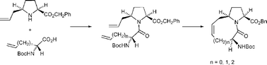 Graphical abstract: Synthesis of 5/7-, 5/8- and 5/9-bicyclic lactam templates as constraints for external β-turns