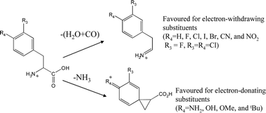 Graphical abstract: Neighbouring group processes in the deamination of protonated phenylalanine derivatives