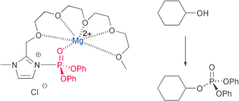 Graphical abstract: Catalytic phosphorylation using a bifunctional imidazole derived nucleophilic catalyst