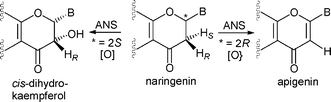 Graphical abstract: Structural and mechanistic studies on anthocyanidin synthase catalysed oxidation of flavanone substrates: the effect of C-2 stereochemistry on product selectivity and mechanism