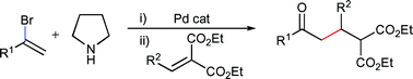 Graphical abstract: A new reactivity pattern for vinyl bromides: cine-substitution via palladium catalysed C–N coupling/Michael addition reactions