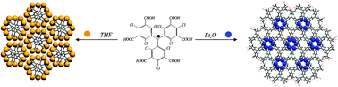 Graphical abstract: Hydrogen-bonded self-assemblies in a polychlorotriphenylmethyl radical derivative substituted with six meta-carboxylic acid groups