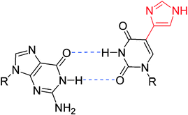 Graphical abstract: Expanding functionality of RNA: synthesis and properties of RNA containing imidazole modified tandem G–U wobble base pairs