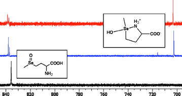 Graphical abstract: Experimental and theoretical evidence for cyclic selenurane formation during selenomethionine oxidation