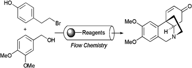 Graphical abstract: A flow process for the multi-step synthesis of the alkaloid natural product oxomaritidine: a new paradigm for molecular assembly