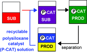 Graphical abstract: Liquid/liquid separation of polysiloxane-supported catalysts