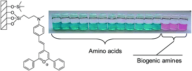 Graphical abstract: Sensory hybrid host materials for the selective chromo-fluorogenic detection of biogenic amines