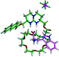 Graphical abstract: Molecular recognition of oxoanions based on guanidinium receptors