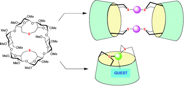 Graphical abstract: Sulfur-capped cyclodextrins: a new class of cavitands with extroverted as well as introverted donor functionalities