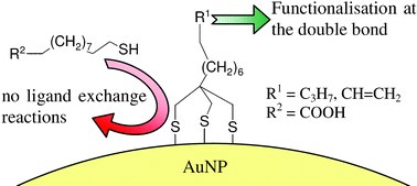 Graphical abstract: Reliable stabilization and functionalization of nanoparticles through tridentate thiolate ligands