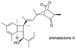 Graphical abstract: Marine natural products of fungal origin