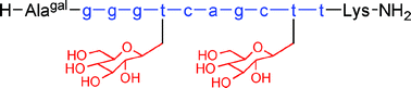 Graphical abstract: Synthesis of a C-linked glycosylated thymine-based PNA monomer and its incorporation into a PNA oligomer