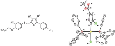 Graphical abstract: Insights into the mechanism of the site-selective sequential palladium-catalyzed cross-coupling reactions of dibromothiophenes/dibromothiazoles and arylboronic acids. Synthesis of PPARβ/δ agonists