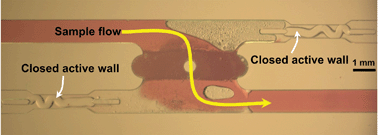 Graphical abstract: Hydrogel-based reconfigurable components for microfluidic devices