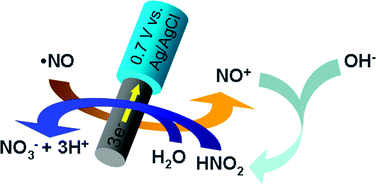 Graphical abstract: Electrochemical nitric oxide sensors for physiological measurements