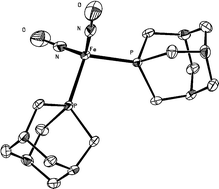 Graphical abstract: Developing iron nitrosyl complexes as NO donor prodrugs