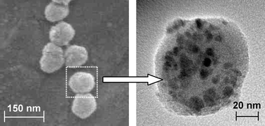 Graphical abstract: Synthesis and functionalization of polypyrrole-Fe3O4 nanoparticles for applications in biomedicine