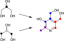 Graphical abstract: Elucidating biosynthetic pathways for vitamins and cofactors