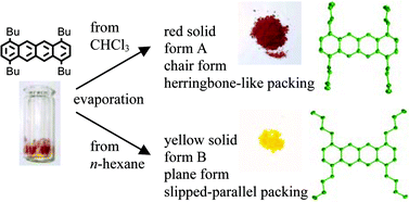 Graphical abstract: Conformational polymorphism and optical properties in the solid state of 1,4,7,10-tetra(n-butyl)tetracene