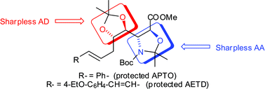 Graphical abstract: The enantioselective synthesis of APTO and AETD: polyhydroxylated β-amino acid constituents of the microsclerodermin cyclic peptides