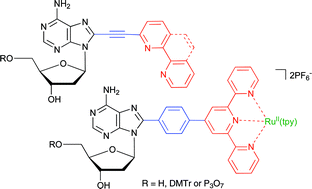 Graphical abstract: Synthesis of 2′-deoxyadenosine nucleosides bearing bipyridine-type ligands and their Ru-complexes in position 8 through cross-coupling reactions