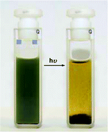Graphical abstract: Light-induced flocculation of gold nanoparticles