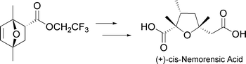 Graphical abstract: Asymmetric synthesis of (+)-cis-nemorensic acid from a chiral Diels–Alder adduct of 2,5-dimethylfuran