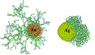 Graphical abstract: Acetylation of dendrimer-entrapped gold and silver nanoparticles