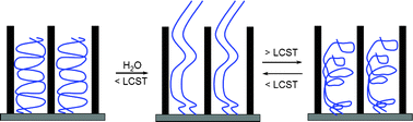 Graphical abstract: Vertically-aligned carbon nanotubes infiltrated with temperature-responsive polymers: smart nanocomposite films for self-cleaning and controlled release