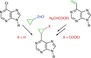 Graphical abstract: Synthesis of substituted 6-cyclopropylpurine bases and nucleosides by cross-coupling reactions or cyclopropanations