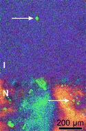 Graphical abstract: Orientation dependent Stokes drag in a colloidal liquid crystal