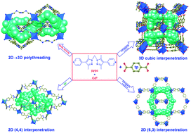 Graphical abstract: Structural modulation of polythreading and interpenetrating coordination networks with an elongated dipyridyl building block and various anionic co-ligands