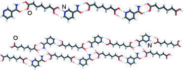 Graphical abstract: Control and interconversion of cocrystal stoichiometry in grinding: stepwise mechanism for the formation of a hydrogen-bonded cocrystal