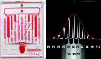 Graphical abstract: Generalized serial dilution module for monotonic and arbitrary microfluidic gradient generators