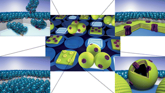 Graphical abstract: Formation of supported lipid bilayers on indium tin oxide for dynamically-patterned membrane-functionalized microelectrode arrays