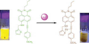 Graphical abstract: Highly sensitive and selective Pd2+ sensor of naphthalimide derivative based on complexation with alkynes and thio-heterocycle