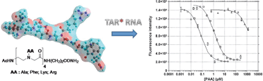 Graphical abstract: Polyamide amino acids: a new class of RNAligands