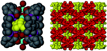 Graphical abstract: Self-assembly of a novel metal–organic coordination cage (MOCC) based on a new flexible dicarboxylate ligand: synthesis, crystal structure and magnetic property