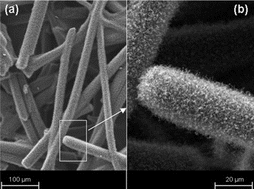 Graphical abstract: Carbon nanotube network modified carbon fibre paper for Li-ion batteries