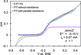 Graphical abstract: Cyclic voltammetry of biofilms of wild type and mutant Geobacter sulfurreducens on fuel cell anodes indicates possible roles of OmcB, OmcZ, type IV pili, and protons in extracellular electron transfer
