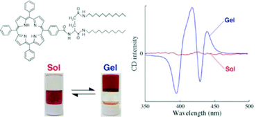 Graphical abstract: Chirally self-assembled porphyrin nanowires assisted by L-glutamide-derived lipid for excitation energy transfer