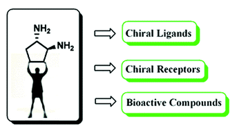 Graphical abstract: trans-Cyclopentane-1,2-diamine: the second youth of the forgotten diamine