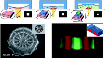 Graphical abstract: Three-dimensional fabrication of heterogeneous microstructures using soft membrane deformation and optofluidic maskless lithography