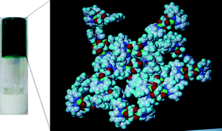 Graphical abstract: A new trinuclear Cu(ii) complex of inositol as a hydrogelator