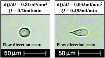 Graphical abstract: Detachment of captured cancer cells under flow acceleration in a bio-functionalized microchannel