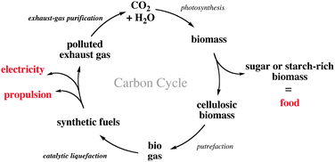Graphical abstract: Quo vadis biofuels?