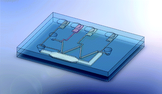 Graphical abstract: A microfluidic chip for electrochemical conversions in drug metabolism studies