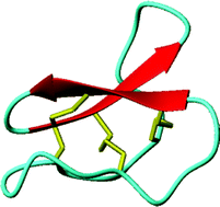 Graphical abstract: Circular proteins from Melicytus (Violaceae) refine the conserved protein and gene architecture of cyclotides